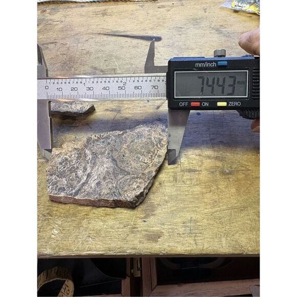 Petrified Wood Slabs (2) - Picture 6 of 8